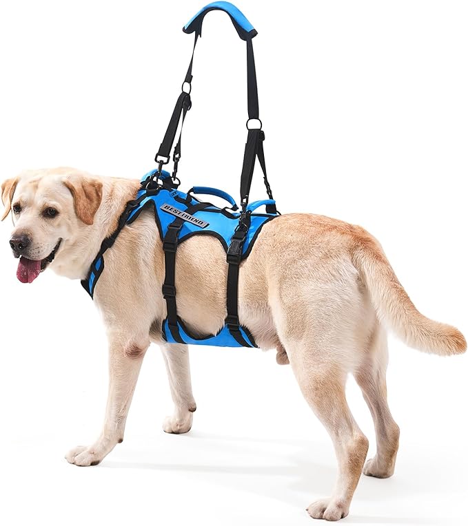 Dog Lift Harness for Medium Dogs, Full Body Support Sling with 3 Handles and Shoulder Strap, Carrying Vest for Senior Dogs with Arthritis or Joint Injuries, Stairs Assistance, Blue, Medium