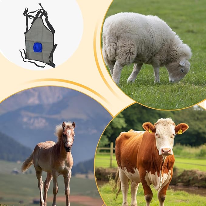 Breeding Control Goat Skirt - Anti Mating Animal Protective Apron, Anti Breeding Sheep Supplies Harness | Livestock Clothing with Adjustable Strap, Sheep Skirt for Animal Health.