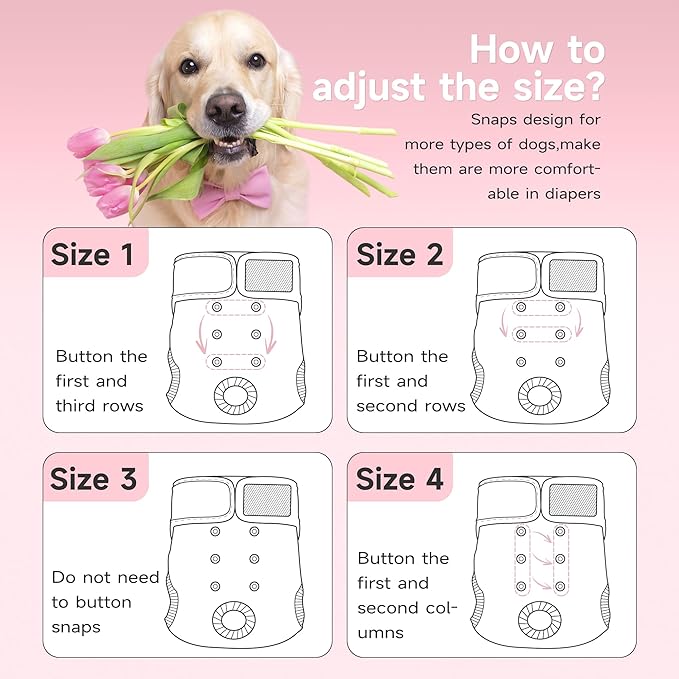Paw Legend Washable Reusable Female Dog Period Diapers for Heat Doggie Puppy Diapers for Female Dogs (3 Pack, Flower, X-Small)