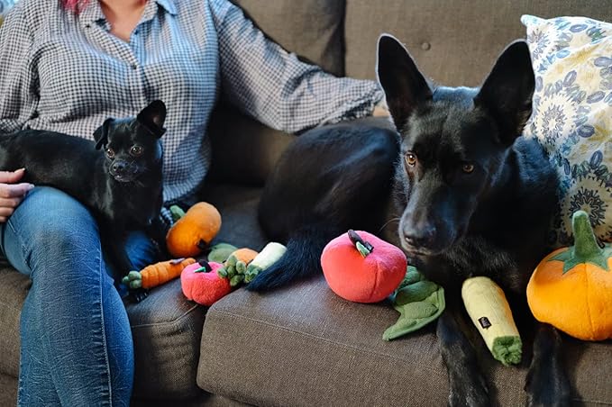 P.L.A.Y. Cute Plush Dog Toys - Fruit & Vegetable Themed Durable Squeaker Chew Toy, Great for Puppies & Small Dogs - Machine Washable, Recycled Materials (5 Piece Set, X-Small)