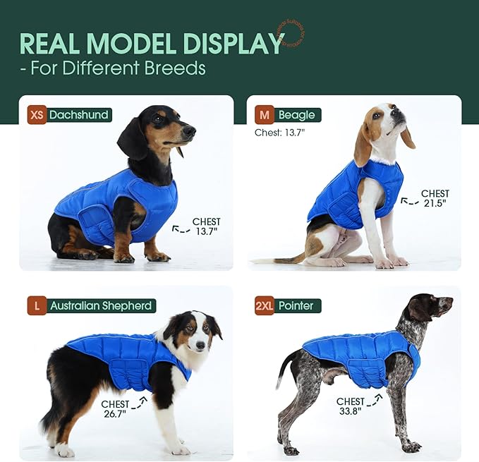 Kuoser Dog Puffer Jacket Warm Dog Coat for Small Medium Dogs, Windproof Reflective Pet Padded Vest Cold Weather Clothes Puppy Snowsuit with Hook & Loop Coats, Easy On/Off, Blue M