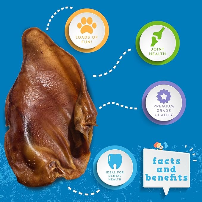 Jack&Pup Whole Pig Ears for Dogs (25 Pack) - All Natural Single Ingredient Extra Thick Large Pigs Ears - Premium Dog Pig Ear Treats - Natural Dog Pork Chews; Excellent Rawhide Alternative