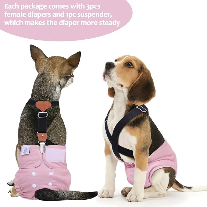 CuteBone Dog Diapers Female 3 Pack Reusable Doggy Diapers with One Suspender for Small Medium Large Dog Period BDD04M