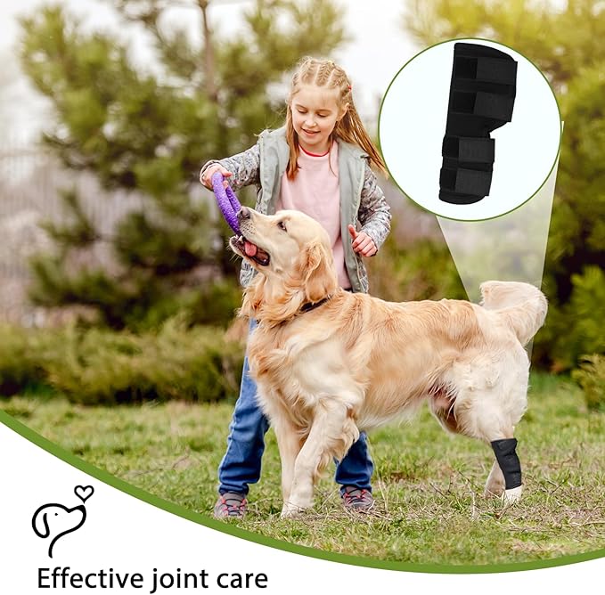 Dog Leg Braces for Rear Leg, Adjustable Dog Leg Sleeve Added Mobility Safety for Active Aging Dogs, Knee Support Straps for Outdoor Adventures Daliy Use Enhanced Stability (XL)