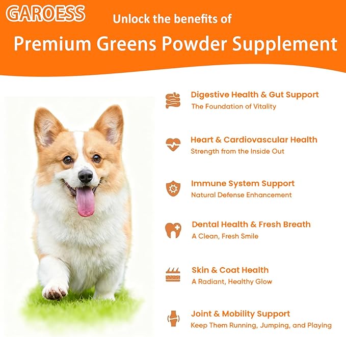 Human Grade Superfood for Dogs, Premium Green Powder, Cranberry,Pumpkin Powder, chlorella for Dental & Teeth, Hip & Joint, Gut Health, Allergies, Immune, Skin, Large Size, 90 Scoops（5.3oz
