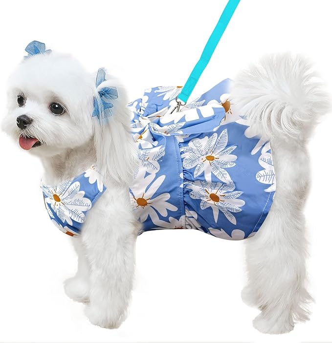 Cute Dog Dress Small Dog Clothes for Girls Female Puppy Outfits Blue Daisy Pet Summer Clothes Bowknot Doggy Cat Princess Dress Harness Set for Holiday Birthday Party Costume Clothing (Blue,XL)