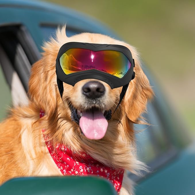 Dog Goggles, UV Protection, Windproof, Dustproof, Anti-Fog Dog Sunglasses for Large & Medium Dogs, Lightweight TPE Frame with Adjustable Strap, Stylish Outdoor Protection (Black Frame Color Lens)