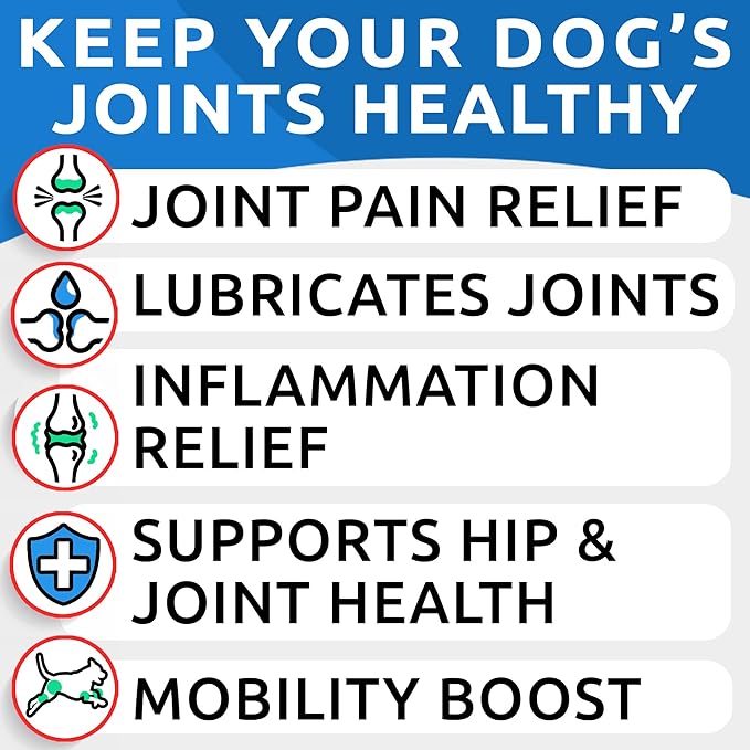 Hemp Chews Dogs Hip Joint Pain Relief - Glucosamine Chondroitin Hemp Treats for Joint Health - Dog Joint Supplement Large Breed & Small - Hemp Oil Pill - Canine Vitamin Treat Old Dog (240Ct/Chicken)