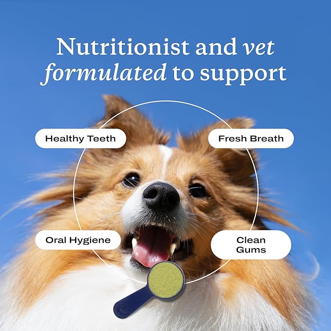 PetLab Co. - Tooth & Gum Support Bundle for Small Dogs: Dental Wipes for Everyday Dental Health Support & Dental Powder for an Effortless Clean in 1 Scoop – Easy to use – Premium Quality Ingredients