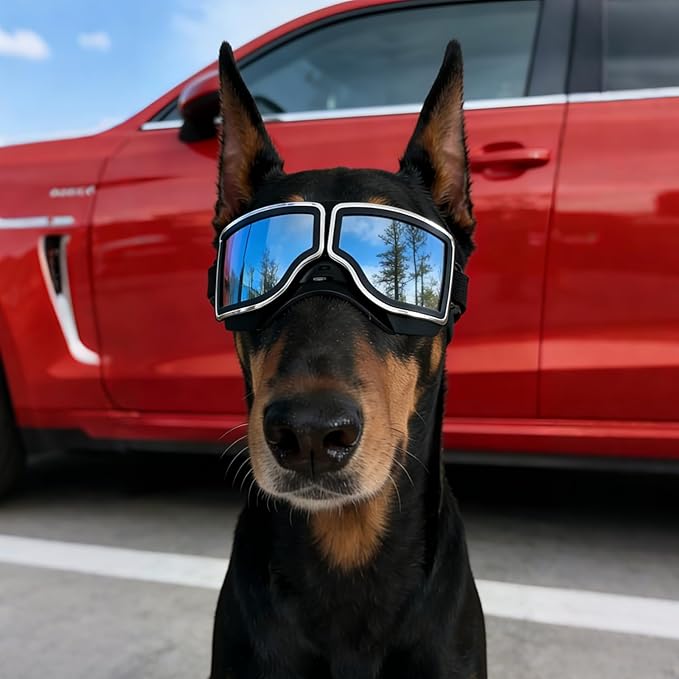 PETLESO Dog Goggles Medium Large Breed, UV400 Dog Sunglasses for Pet Outdoor Riding Driving Hiking, Windproof Snowproof Eyes Protection, Breathable Frame Adjustable Strap, Black