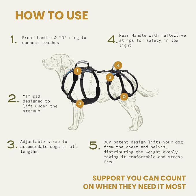 Help 'Em Up® - Dog Lift Harness│ Adjustable Lifting Harness for Dogs │ Full Body Support, Rear Leg Support (Conventional, Large)