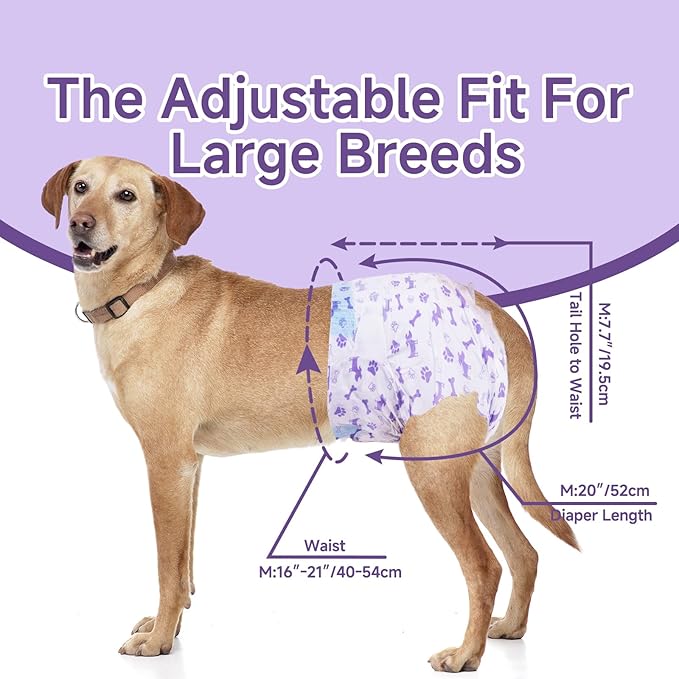 MICOOYO Disposable Dog Diapers Female, Doggie Diapers for Dogs Female, Super Absorbent Pet Diaper with Foam Tail Hole for Heat, Comfortable Puppy Diaper (Large, 20Count)