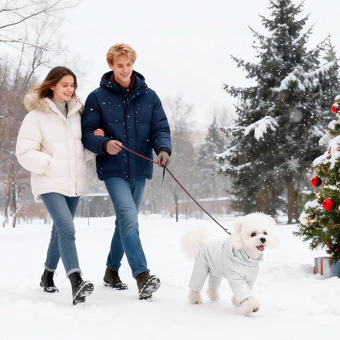 White Duck Down Dog Coat - 4-Leg Coverage, Waterproof Windproof Warm Winter Snowsuit, Cotton Anti-Static Lining, Built-in Harness Hole for Small/Medium Dogs,Size 13(M) Silver