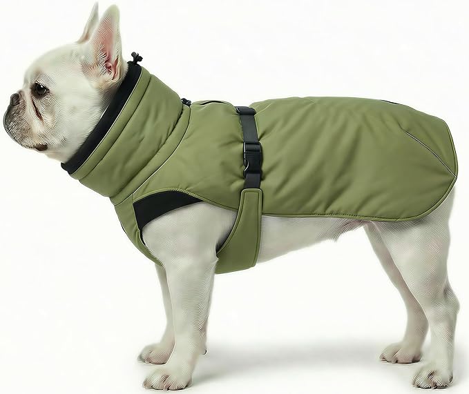 Dog Winter Coat, Warm Puffer Jacket with Fur-Safe Buckle & Leash Hole for Cold Weather, Water-Repellent Snow Vest, Breathable Thermal Apparel for Hiking & Active Dogs (Green, Small)