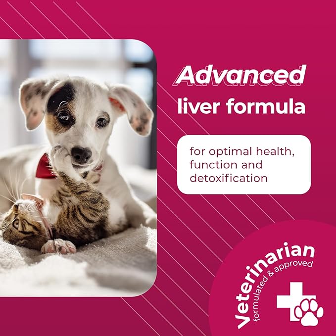 VetriScience Same Liver Health Tablets, 90 mg S-Adenosyl-Methionine Health and Detox Supplement for Cats and Small Dogs Under 13 Pounds, Glutathione Antioxidant Support, 30 Count