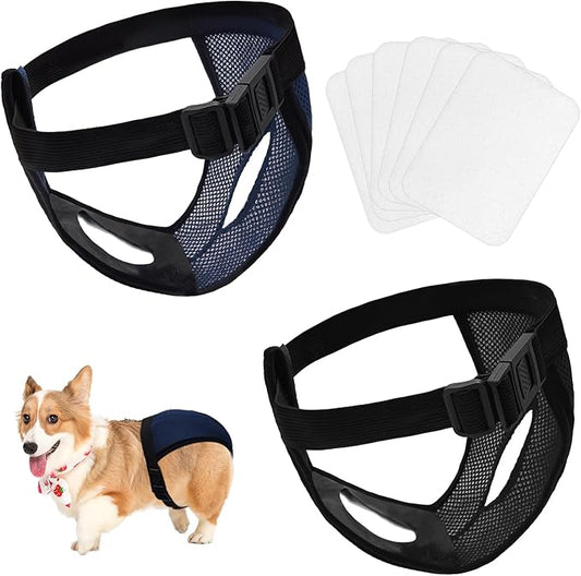 BLMHTWO 2PCS Dog Pants Dog Nappies, Dogs Period Pants with 6PCS Washable Female Dogs Season Pants Adjustable Protective Trousers for Female Puppy in Heat Monthly, Black, Blue