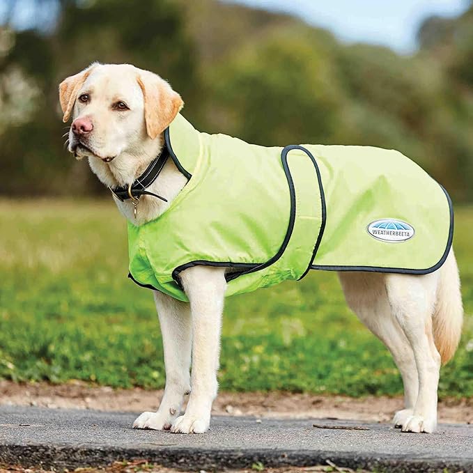 WeatherBeeta ComFiTec Windbreaker 420D Deluxe Dog Coat, Yellow/Black, 20"