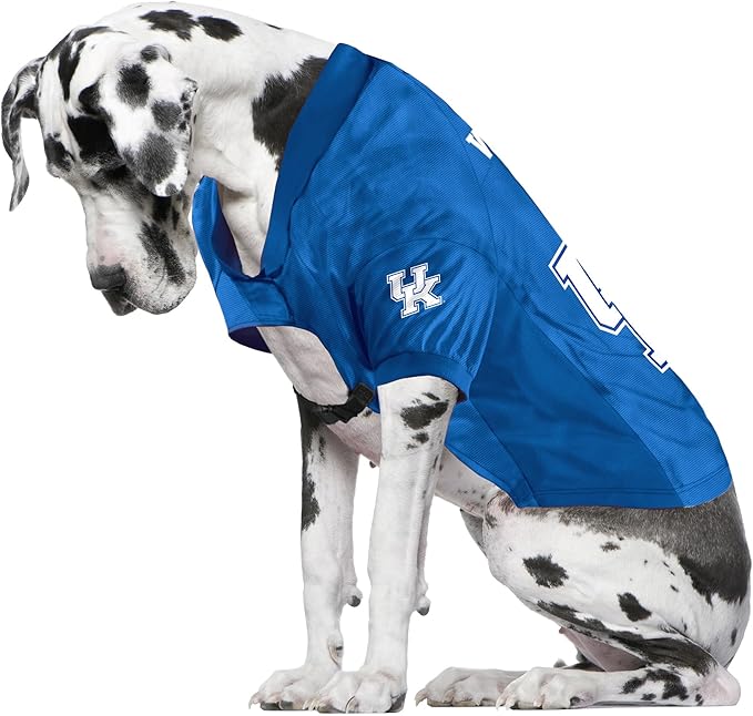 Littlearth Kentucky Wildcats NCAA Stretch Pet Jersey
