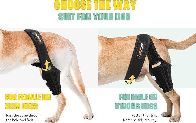 Dog Knee Braces for Back Leg for Support, Cruciate Ligament Brace for Dogs Rear Leg with Torn ACL, Metal Side Stabilizers Keep The Joint Warm and Stable, Dog ACL Brace Hind Leg Small