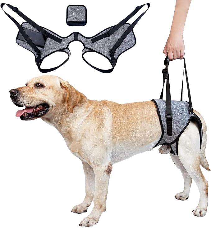 Dog Sling for Large Dogs Hind Leg Support Dog Lift Harness Adjustable Durable Rear Lift Support Harness for Weak Back Legs, Elderly, Injured, Senior, Arthritic, ACL Recovery Pet