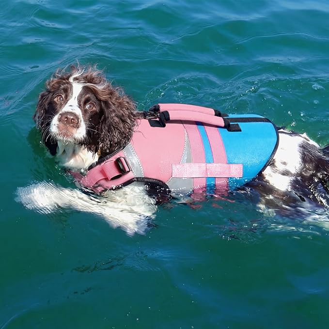 Kuoser Dog Life Jacket with Rescue Handle, High Flotation Dogs Swim Vest with Reflective Strips,Adjustable Dog Life Vest for Swimming, Boating, Pool&Beach, Doggy Lifejacket for Small Medium Large Dogs