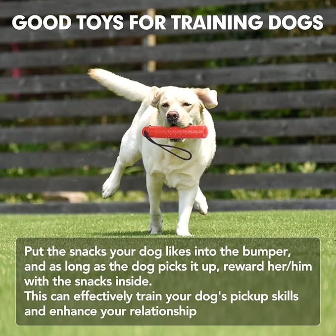 BINGPET Dog Float Bumper Toy 2 Pack,9.3 Inch Detachable Treat Dispensing Puzzle Toys,Training Dummy Retrieving Bumpers Summer Pool Toy Tug Game,Interactive Toys for Medium Large Dogs(Red & Green)