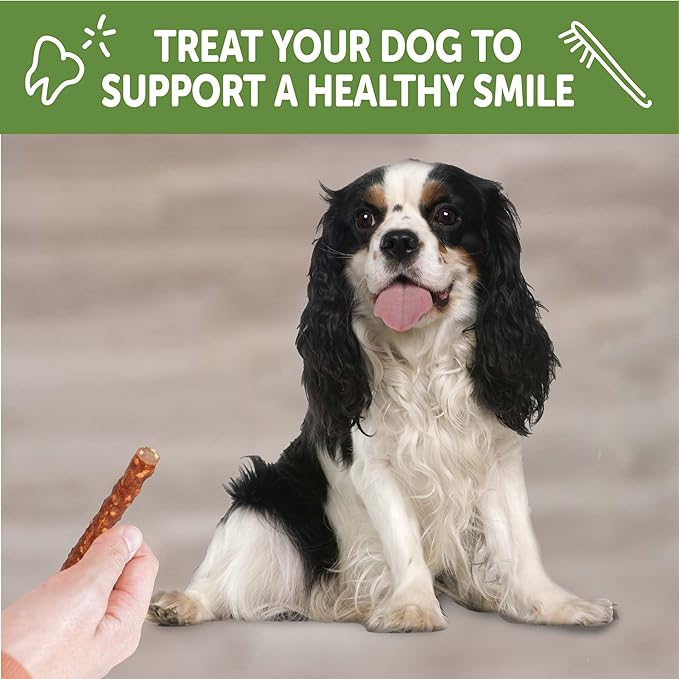 WHIMZEES Wellness Veggie Sausage Dog Dental Treats, Small Size Stick, (28 Count)