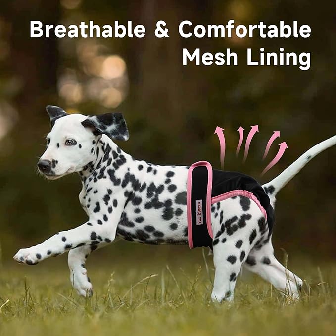 Washable Dog Diapers for Heat & Periods - Reusable Female Dog Diapers with Adjustable Snaps (Large)