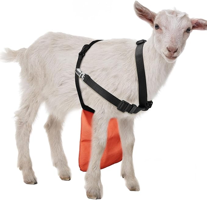 Kajaia Goat Apron Anti Breeding Sheep Skirt Control Buck Anti Mating With Adjustable Strap For Goats And Sheep