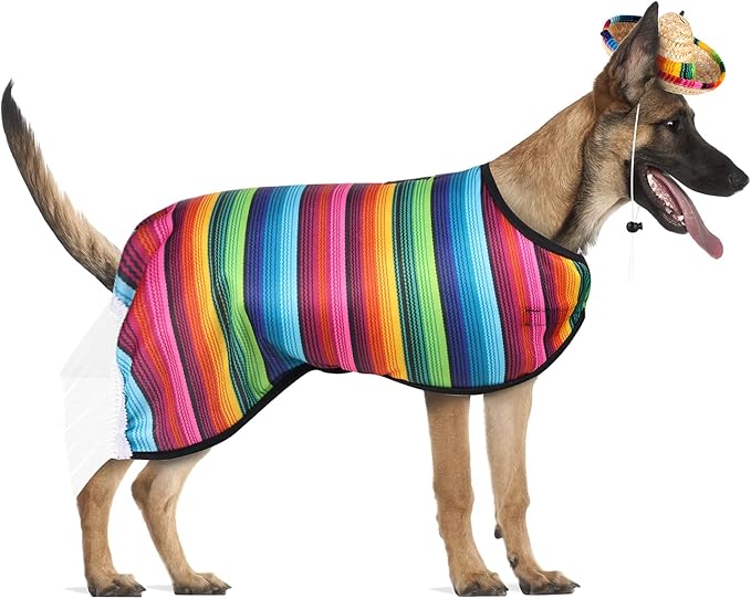 Frienda Dog Large Poncho Straw Hat Costume, Multicolor, Adjustable, for Mexican Party Decorations