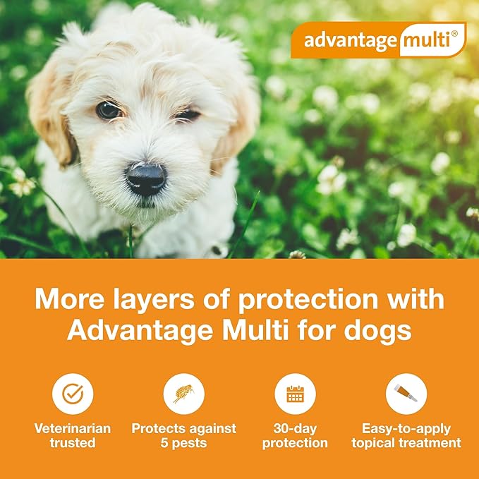 Advantage Multi Topical Solution for Dogs 6 Doses, 3-9 lbs (Green)