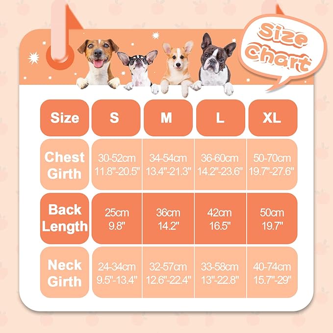QBLEEV Dog Diapers Female Washable Sanitary Pantie with Adjustable Suspender, Reusable Doggie Diaper Puppy Diapers Male Cute Pet Period Panties for Dogs in Heat, Dog Underwear for French Bulldog XL