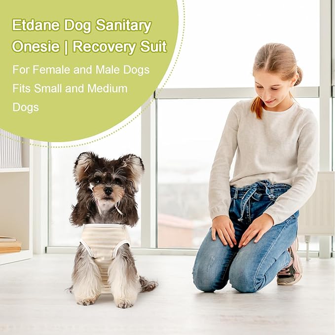 Etdane Dog Diapers Sanitary Panties Physiological Period Shirts Surgical Recovery Suits for Male and Female Dogs, Yellow/Large