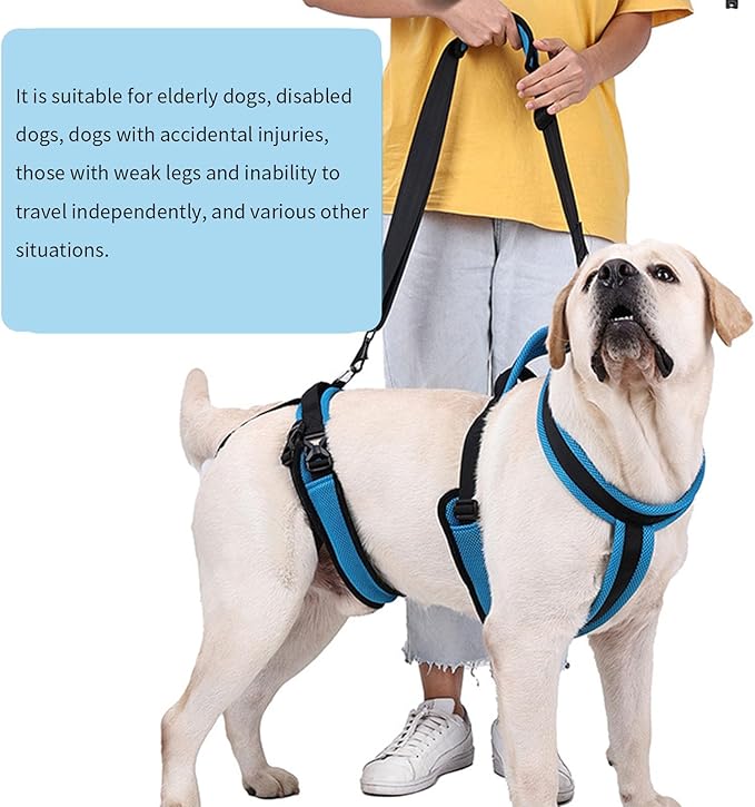 Pet Rehabs Strap for Aging Disabled Dog Nonslip Polyester Senior Mobility Tool for Outdoor Walking Gear Elderly Belt