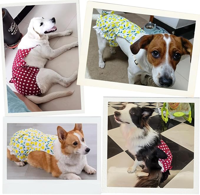 Dogs Heat Protection Washable Onesie Suit, Period Care (with Pads) for Female, Behavioral Control (with Diapers) for Male (red,XX-Large)