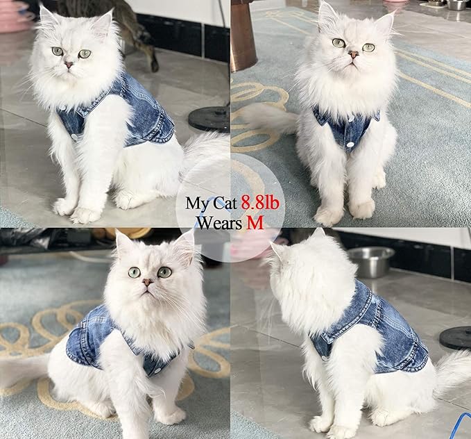 Jean Jacket, Puppy Blue Denim Lapel Vest Coat Costume, Dog T-Shirt Clothes, Cool and Funny Apparel Outfits, Machine Washable Dog Outfits for Small Medium Dogs Cats (M)