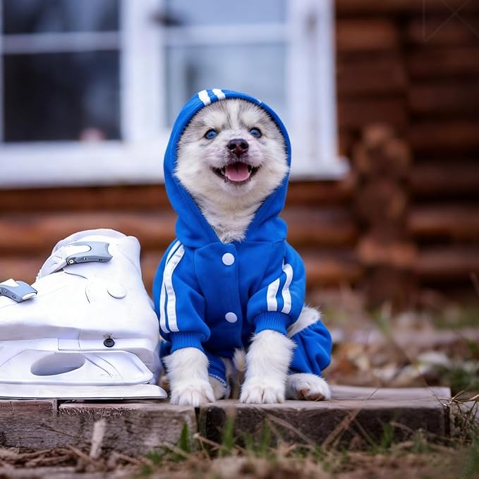 Dog Security Clothes - 4 Legs Jumpsuit Sweatshirt Hoodie - Soft & Warm Winter Outfit Pullover Sweater for Small Medium Large Dogs Cats (Blue, Large)