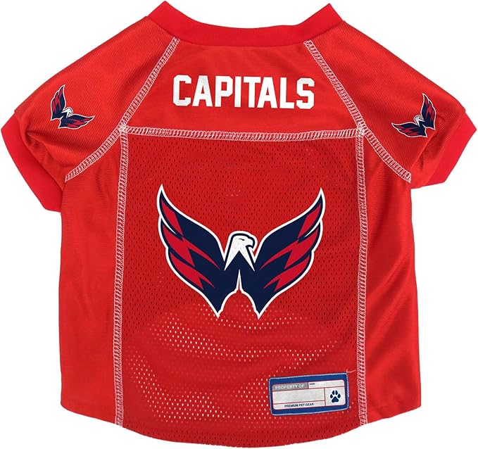 Littlearth NHL Detroit Red Wings Basic Pet Jersey, Team Color