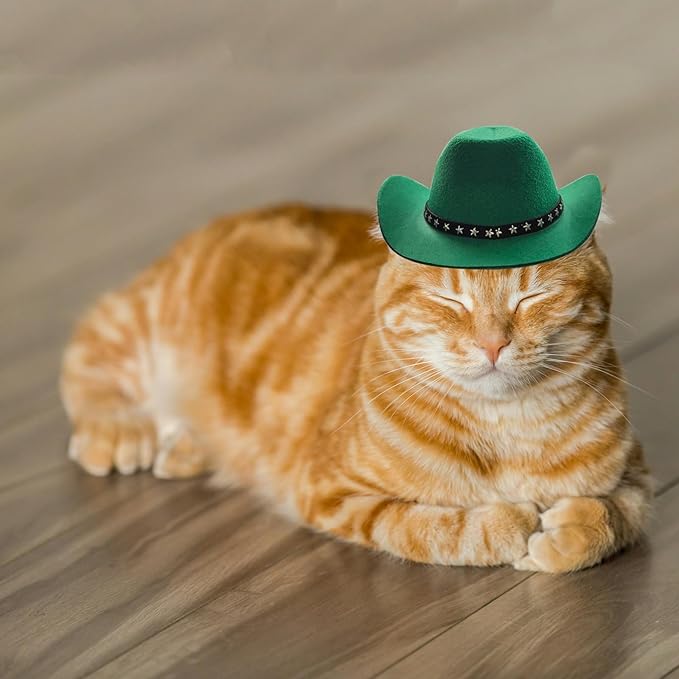 Pet Dog Costume Cowboy Hat Cosplay Cap Puppy Pet Dog Cat Holiday Pet Party Decoration (Green)