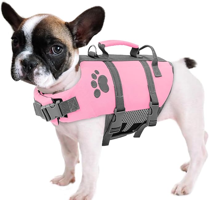 Queenmore XS Dog Life Jacket, Puppy Life Jackets for Small Dogs, Small Dog Life Vest for Swimming, Lightweight Extra Small Dog Life Vest with Handle Adjustable Pet Life Vest for Boating, Cat Lifevest