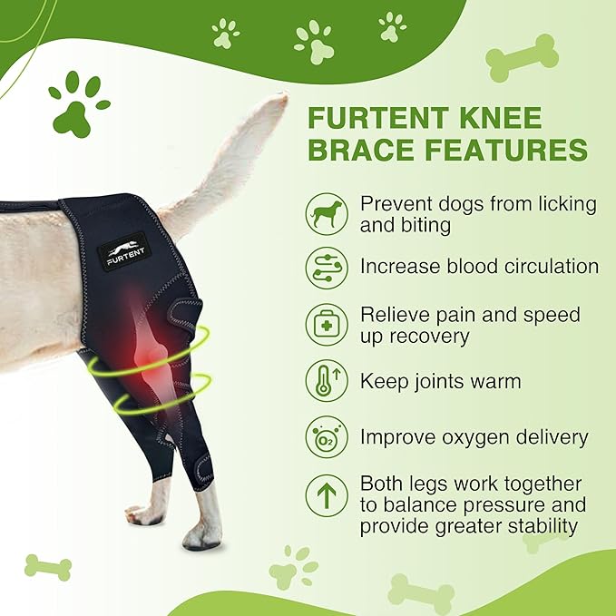 Dog ACL Knee Brace, Support for Pets with CCL, Cruciate Ligament Injuries - Keeps Knee Joints Warm and Stable, Upgraded Adjustable Dogs Rear Leg Wrap Harness Set for Leg Wound Care Prevents Licking