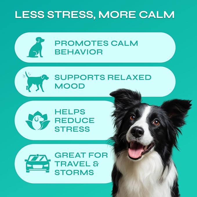 Dog Calming Chews with Hemp - 17,810 mg Hemp Oil per Pack - Soft Calming Chews for Dogs with Melatonin - Relaxation Support for Travel, Grooming, Separation, Thunder, Fireworks - 130 Beef Bites
