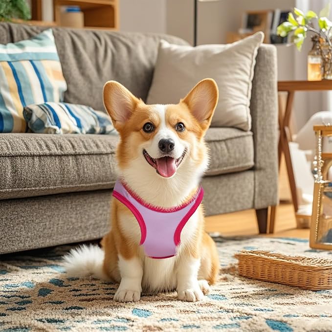 4 Pack Dog Shirts Summer Printed Puppy Clothes Cute Sleeveless Pet T Shirts Dog Clothes for Small Medium Dogs Cats Girl(S)