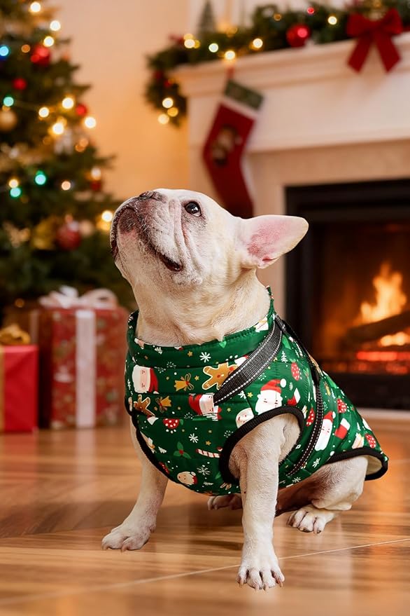 Aiboria Dog Jackets for Winter Windproof Waterproof Vest Fleece Warm Dogs Coat with Belt Christmas Green M