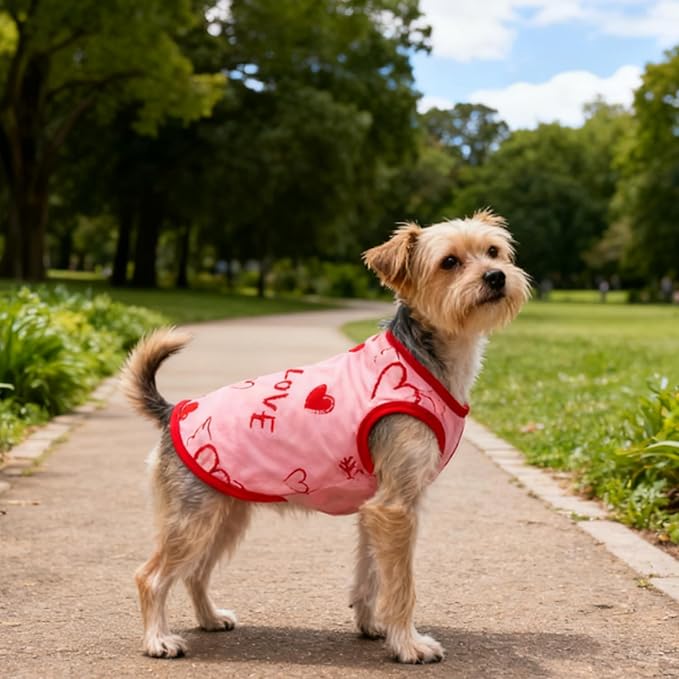 4 Pack Dog Shirts Summer Pet T Shirts Puppy Clothes Dog Clothing Breathable Cat Sleeveless Vest for Small Dogs Cats (Large, Love)