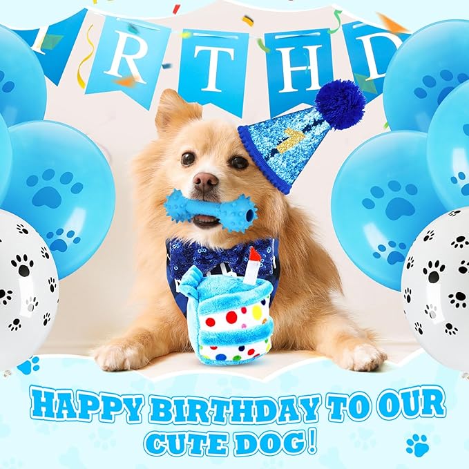 23 Pcs Dog Birthday Toy Set Cake Teething Squeak Interactive Puppy Birthday Party Supplies with Box for Small Medium Dog(Blue)
