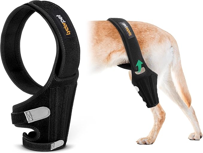 Dog Knee Braces for Back Leg for Support, Cruciate Ligament Brace for Dogs Rear Leg with Torn ACL, Metal Side Stabilizers Keep The Joint Warm and Stable, Dog ACL Brace Hind Leg Small