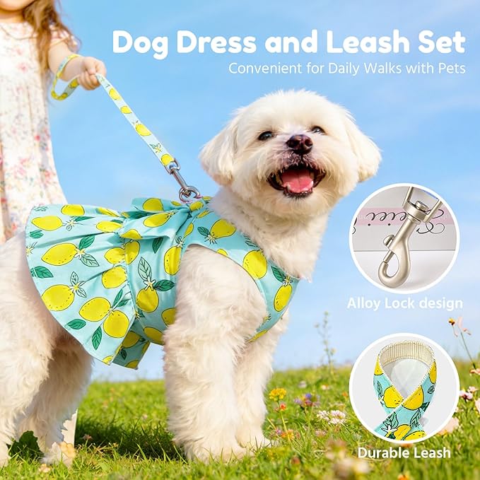 BAEJMJK Dog Dress Bowknot Harness Leash Set for Small Dogs Cats Girl Floral Princess Dog Dresses Cute Puppy Fruit Clothes Pet Doggy Outfits Spring Summer Breathable Dresses(Green,Small)