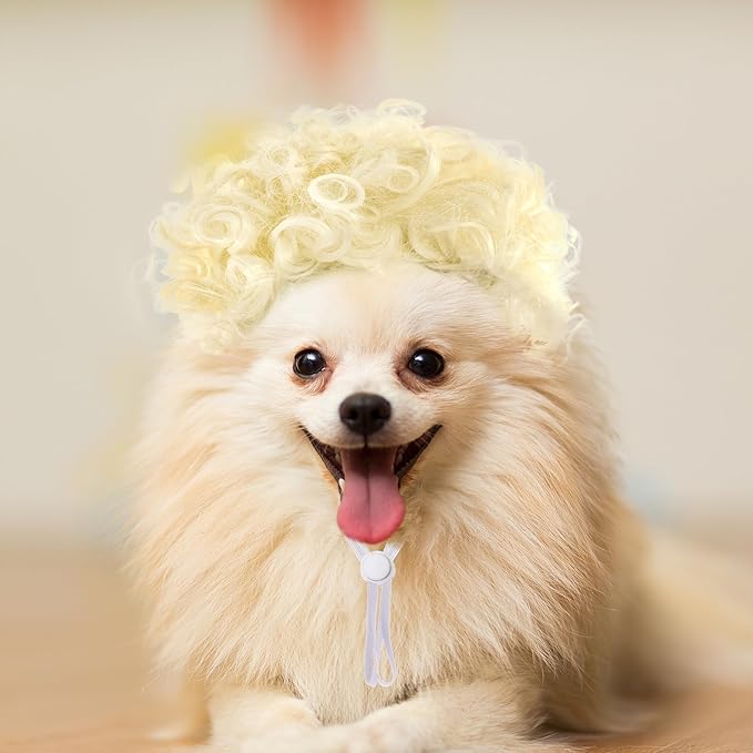 1 Pcs Funny Pets Wigs for Dog, Blonde Curly Dog Wig Adjustable Pet Wigs for Halloween Pet Costume Accessories for Christmas, Parties, Festivals Cosplay (Gold)