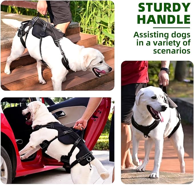 PUPTECK Dog Lift Harness for Medium Large Sized Dog, Rehabilitation Sling for Hind Leg Support, Multifunctional Mobility Assistance Harness for Old, Disabled, Joint Injuries, Paralysis Dog, Black XL